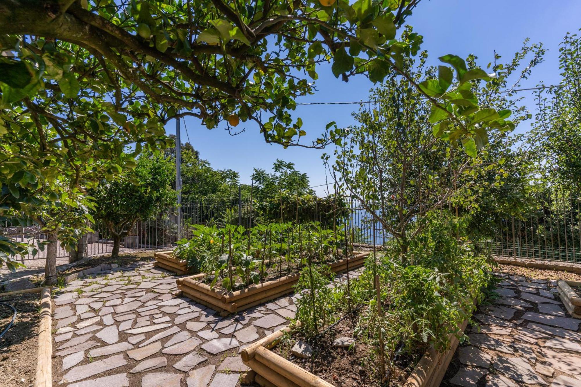 Villa Solatia Massa Lubrense Exteriér fotografie